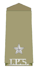 ASP Insignia, 1st year of service