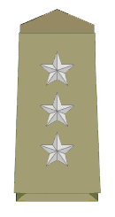 DSP Insignia