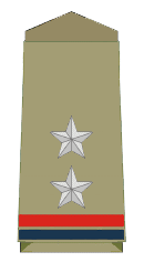 SI Insignia