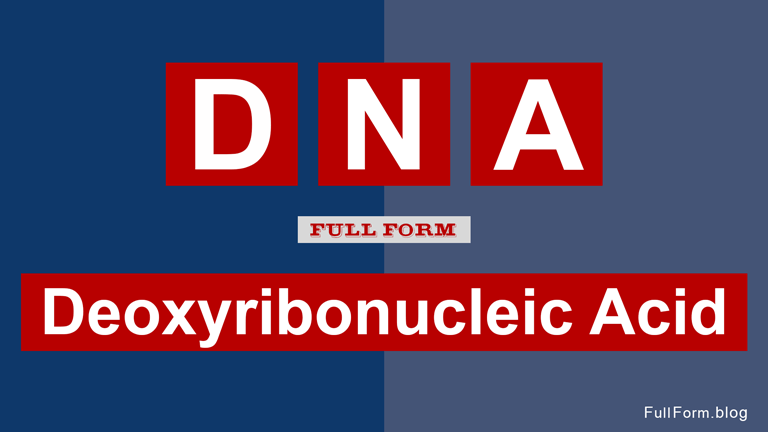 dna-full-form-what-is-the-full-form-of-dna