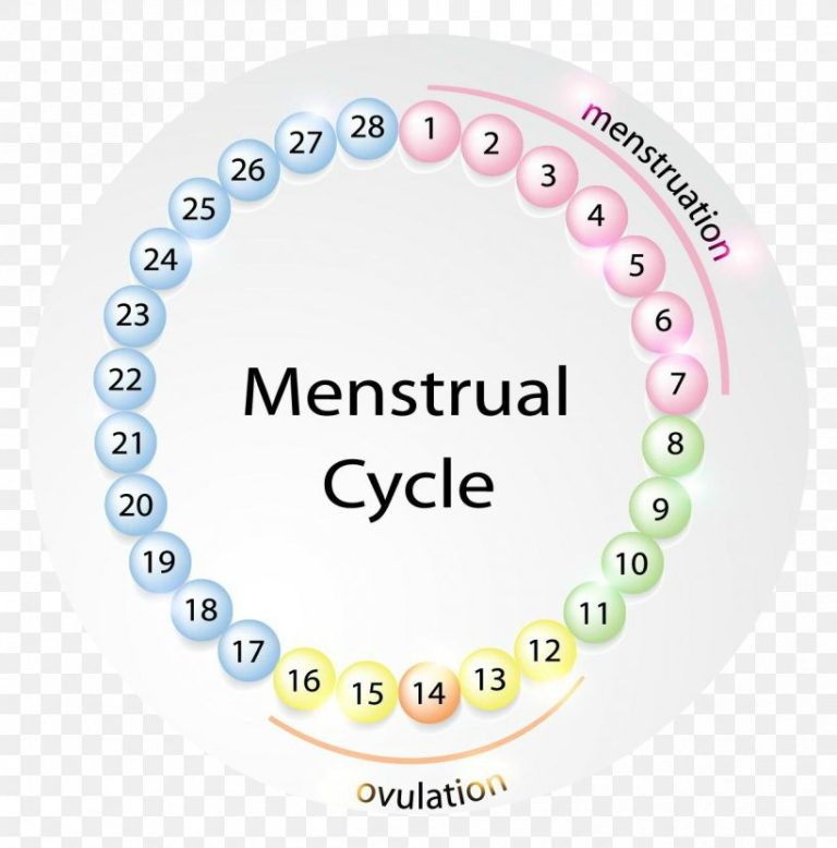  MC Full Form In Medical What Is The Full Form Of MC 